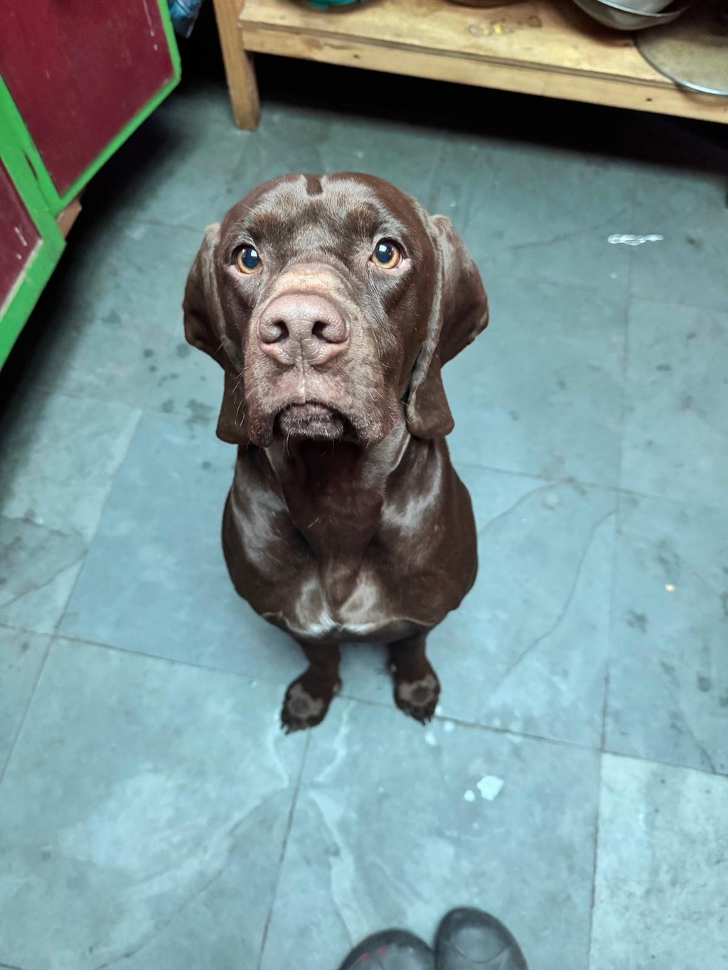 Botella metálica 700 ml personalizada