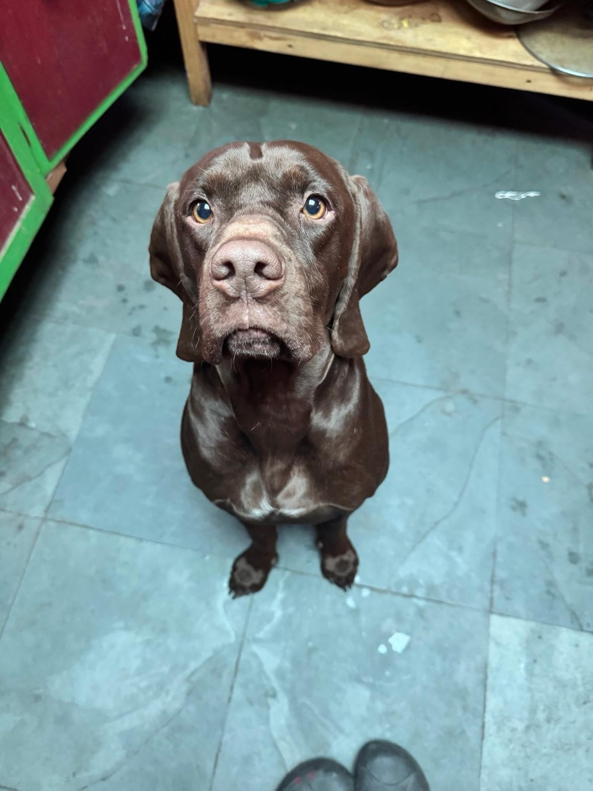 Botella metálica 700 ml personalizada